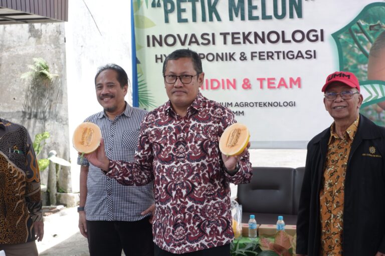 Inovasi Smart Farming: Edupark UMM Terapkan Teknologi Canggih dalam Budidaya Melon